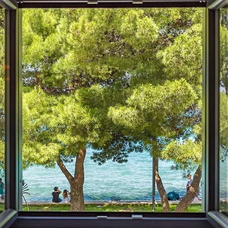 Casamare - *